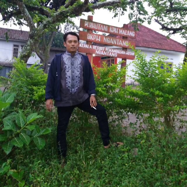 junisiswanto