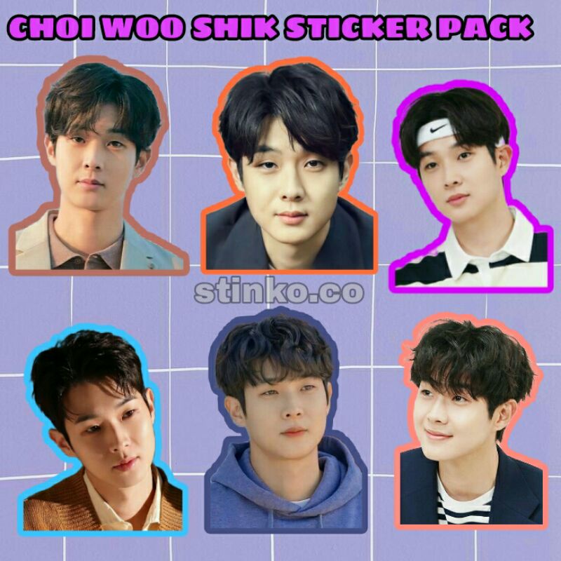 

[30PCS] CHOI WOO SHIK STICKER / OUR BELOVED SUMMER
