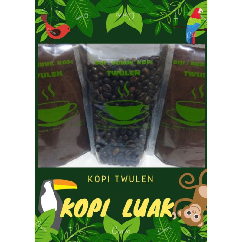 

Kopi Luwak