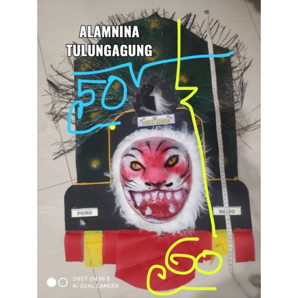 topeng reog Ponorogo dadak merak spon