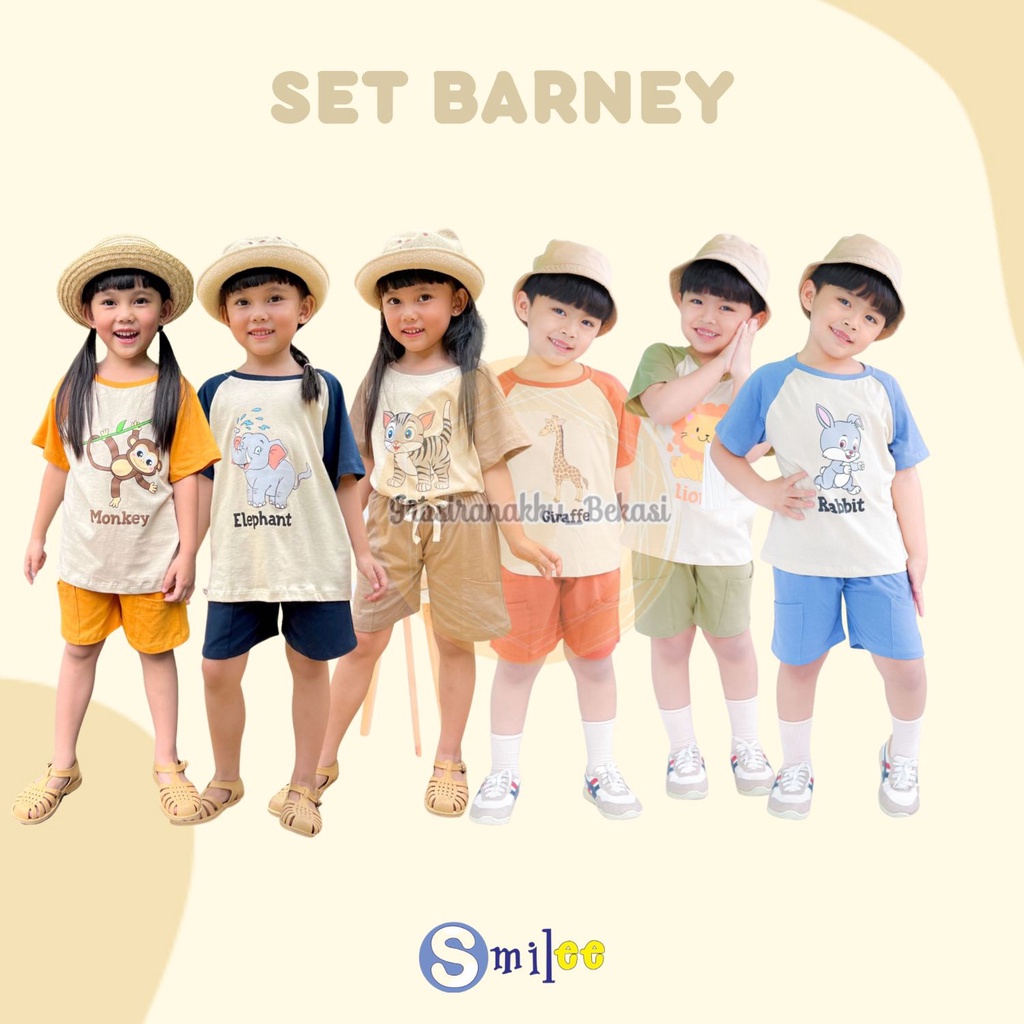 Setelan Anak Unisex  Barney  Smilee Mix Warna  Size 1-5 Thn