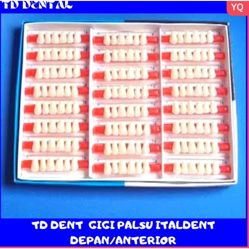 Gigi Italdent Anterior/Gigi Palsu Italdent Depan