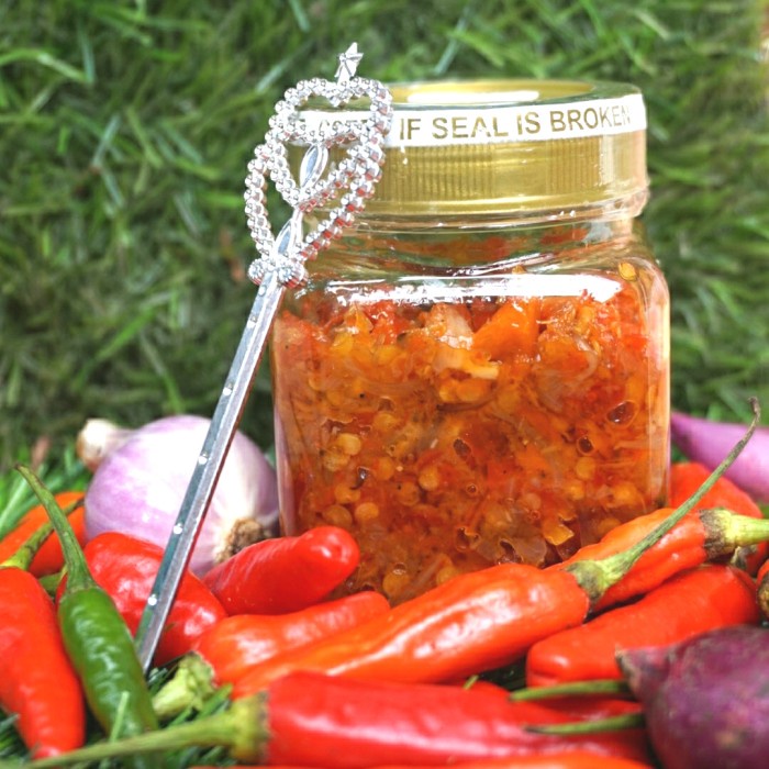 

sambal-aneka- sambal bawang korek - pedas -aneka-sambal.