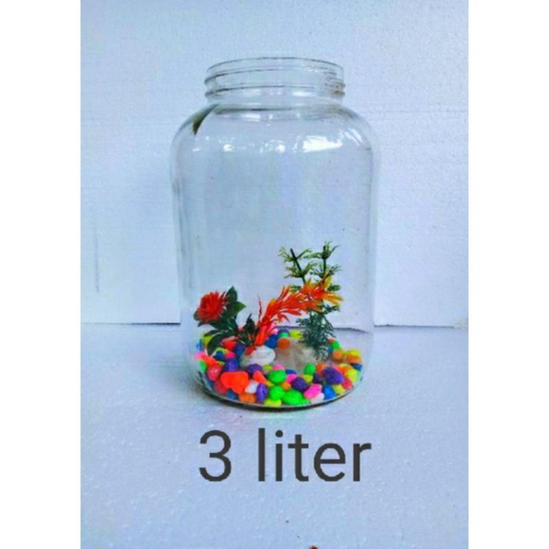 toples chery toples kaca/jar untuk ikan cupang uk: 3 liter
