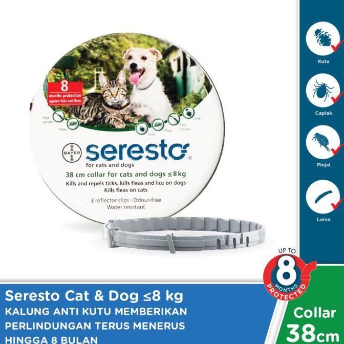 READY STOCK KALUNG ANTI KUTU KUCING PROTEKSI 8 BULAN - SERESTO CAT 