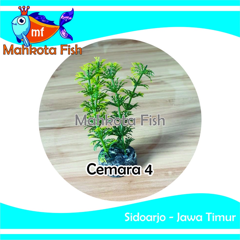 Hiasan Aquarium CEMARA 4 | Bunga Plastik Aquarium | Bunga Hiasan Aquarium | Tanaman Hias Aquarium