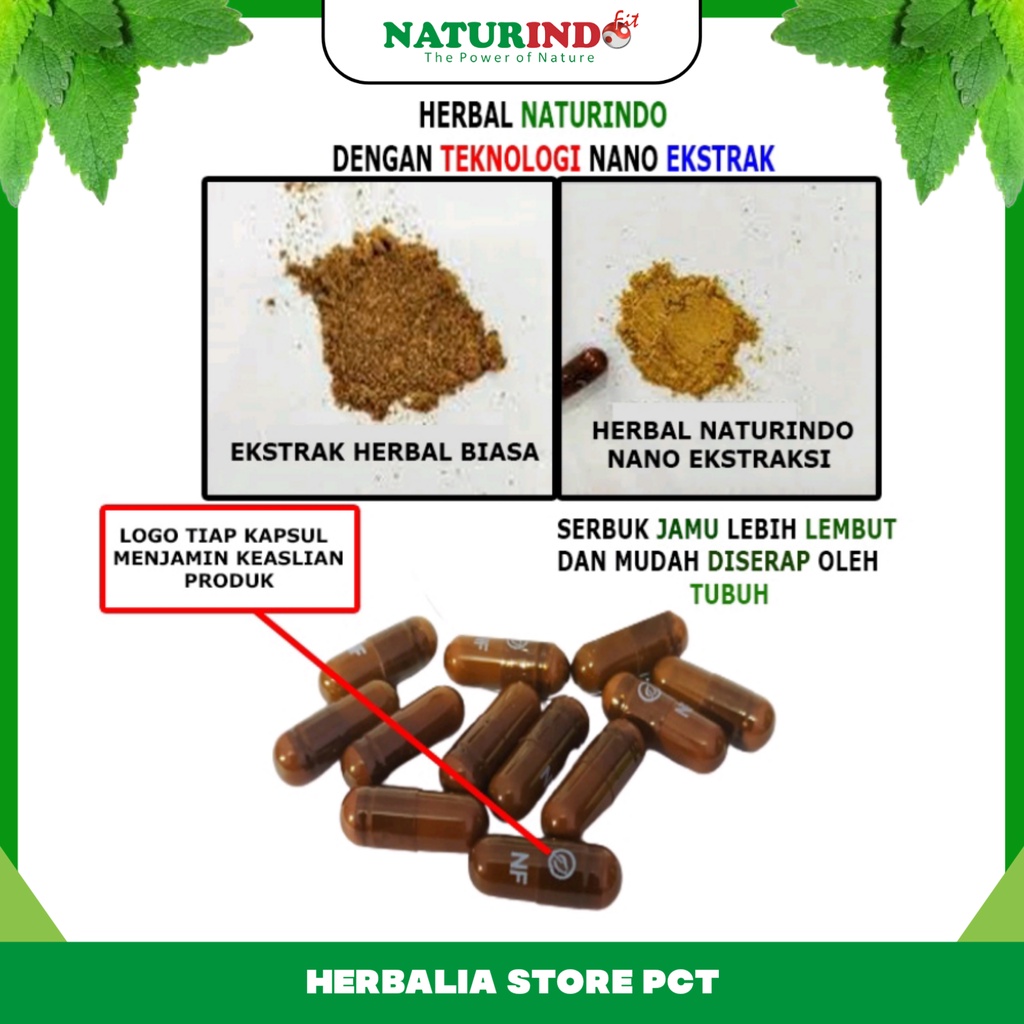 Obat Herbal Asam Lambung Tinggi Maag Magh & Gerd Kronis Gastritis Tukak Lambung Akut Sakit Perut Nyeri Ulu Hati Kembung Gangguan Pencernaan Panas Dalam Mucosafit Naturindo Bpom Herbal Paling Ampuh Halal Tanpa Efek Samping-6