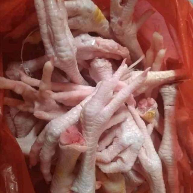 

Ayam potong segar