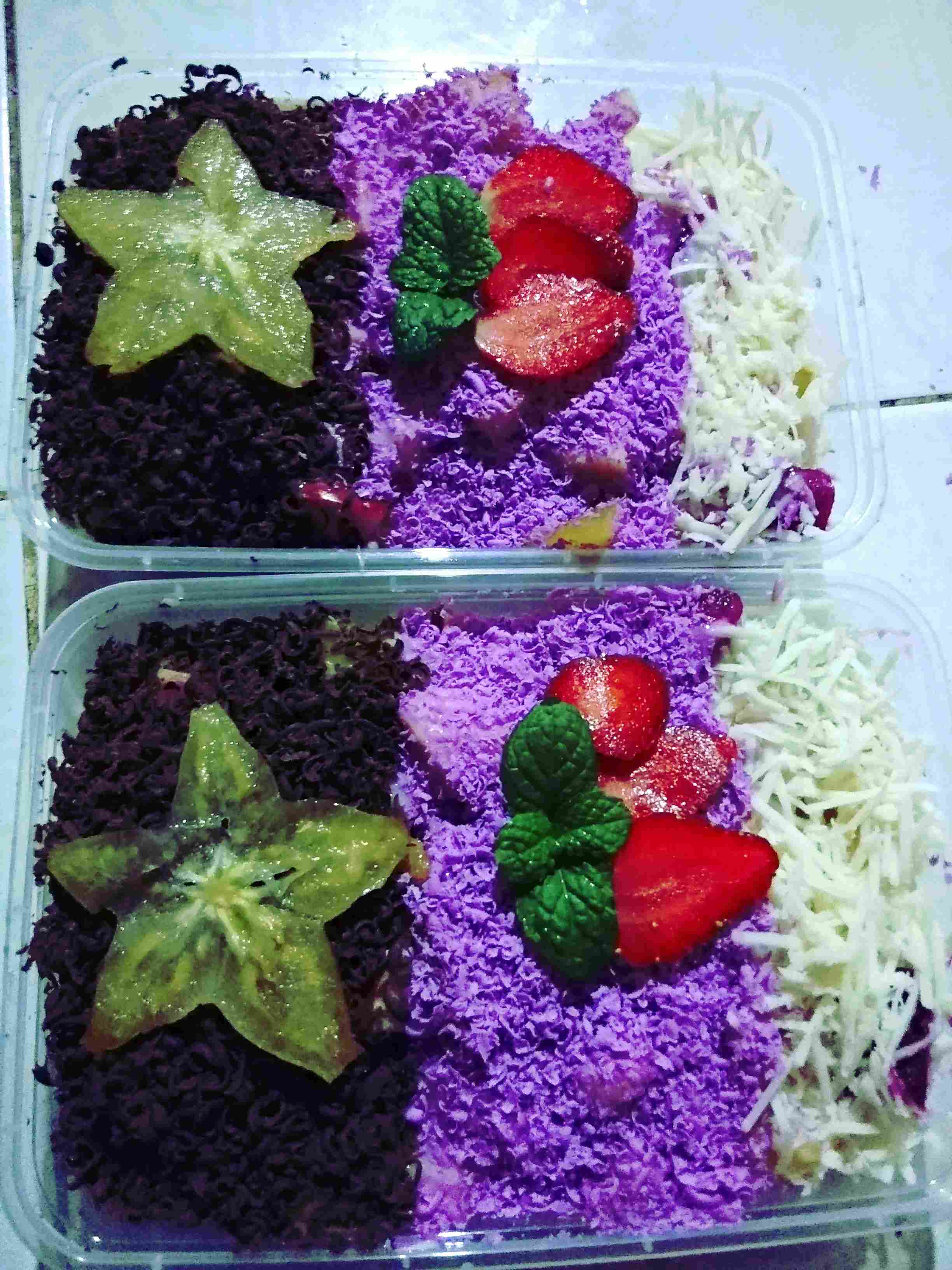 Bibit Kapulaga Hibrida Super Jumbo Kwalitas 1