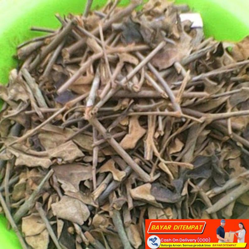 

Benalu kopi kering Asli 100% tanpa campuran Kimiawi