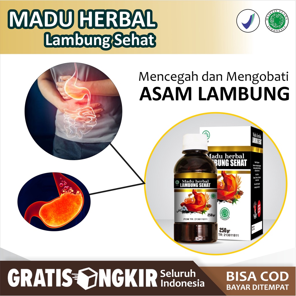 Madu Herbal Lambung Sehat Obat Lambung Paling Alami untuk Menghilangkan Maag Gerd Tukak lambung Asam