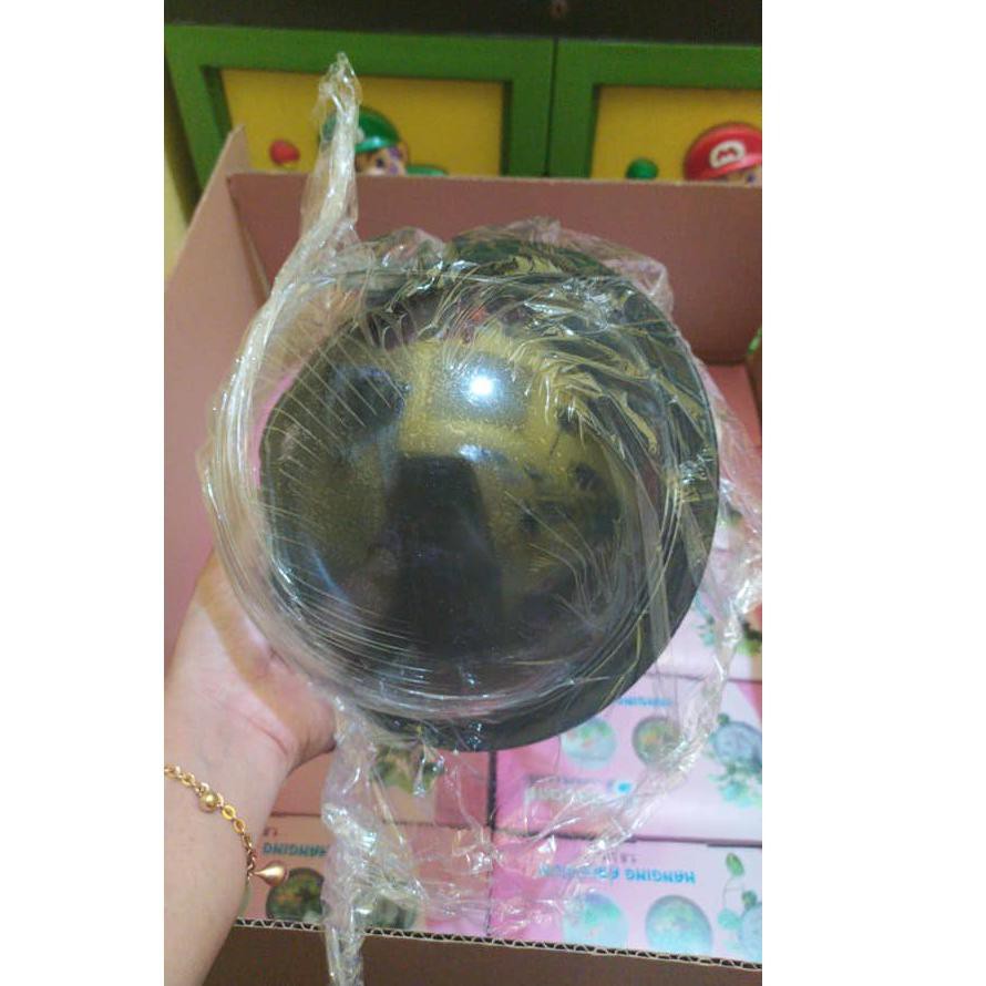 BESTSELLER Aquarium tempel Hiasan dinding untuk tanaman + ikan cupang (BUKAN yang kecil)