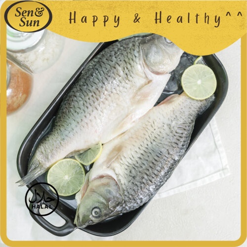 

Sen&Sun Ikan Mas 500 gr