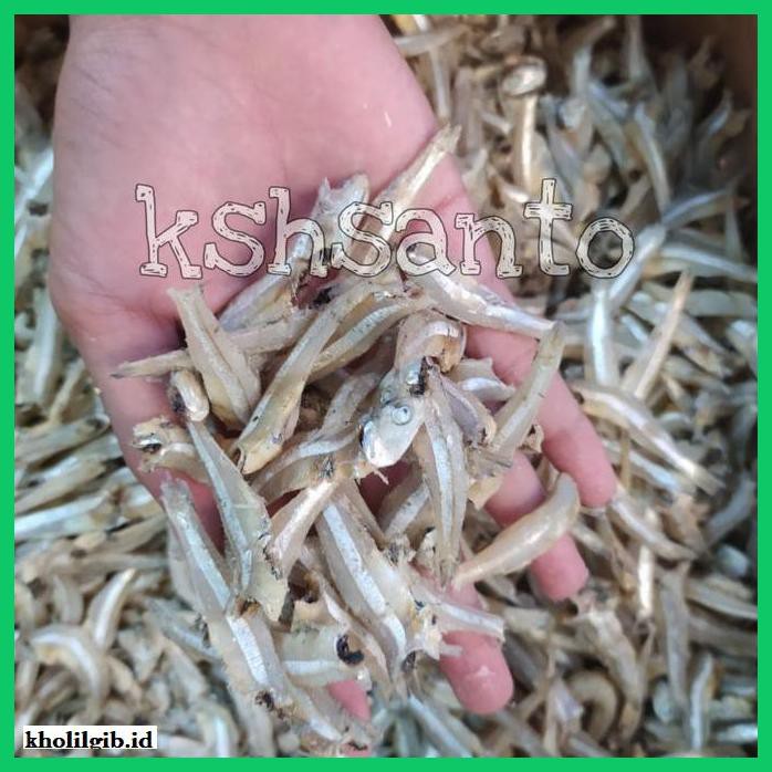 

Makanan-Kering- Ikan Asin Teri Jengki Putih 1Kg -Aneka.