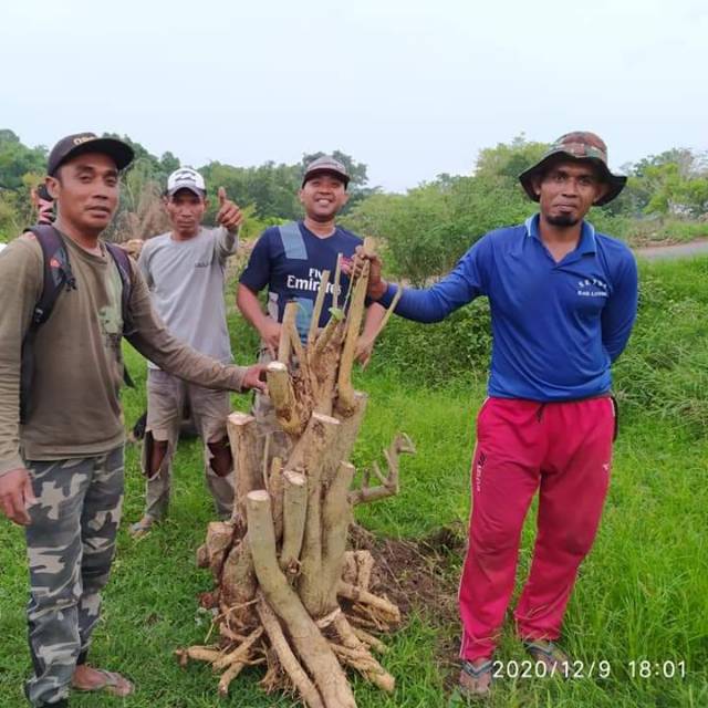 hendriyuzana123pratamafarzana