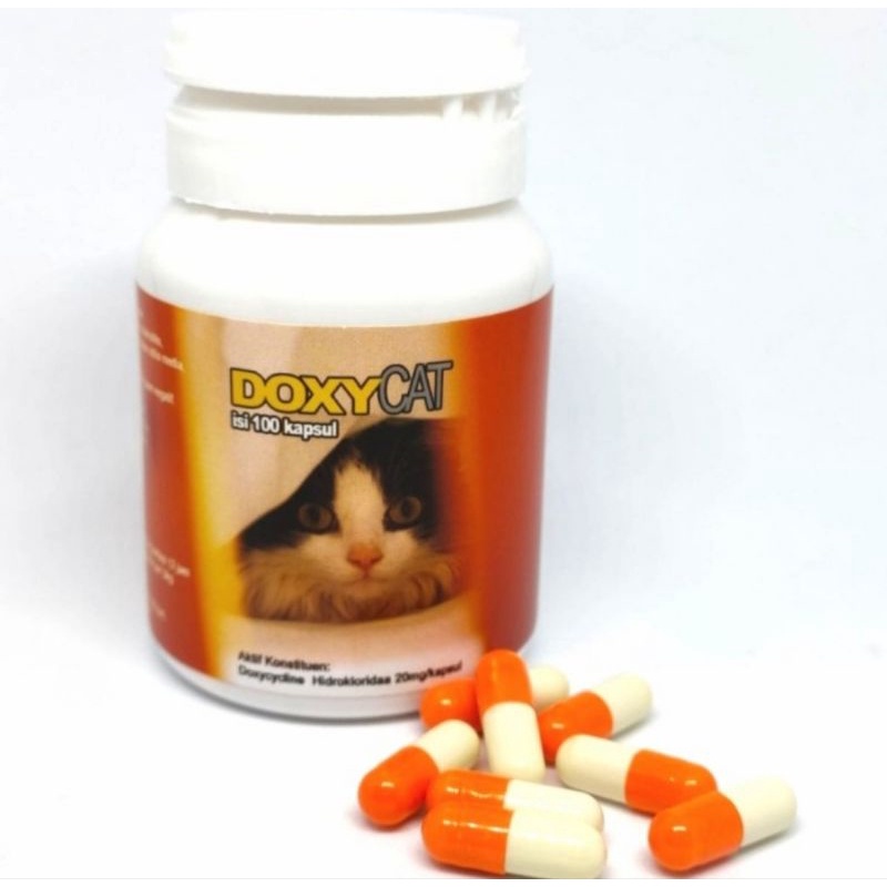 Doxycat Doxy Cat Im Organic - Obat Flu Kucing Doxy Cat Flu Ecer Per kapsul