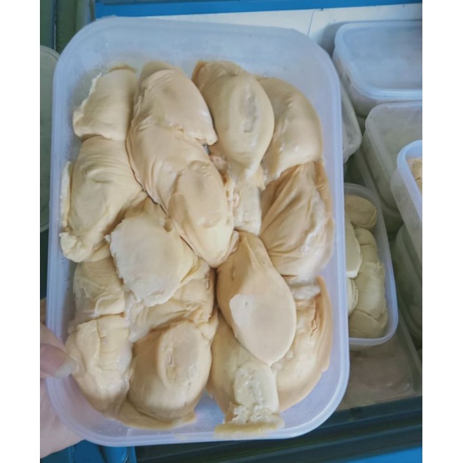 

Durpas Sibolga