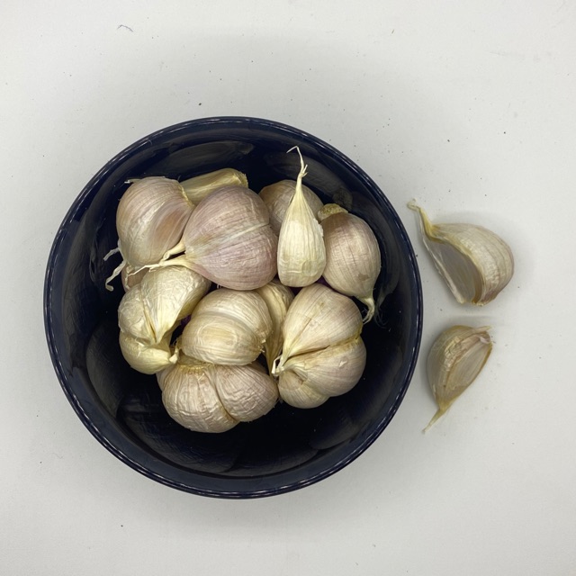 

Bawang Putih Kating