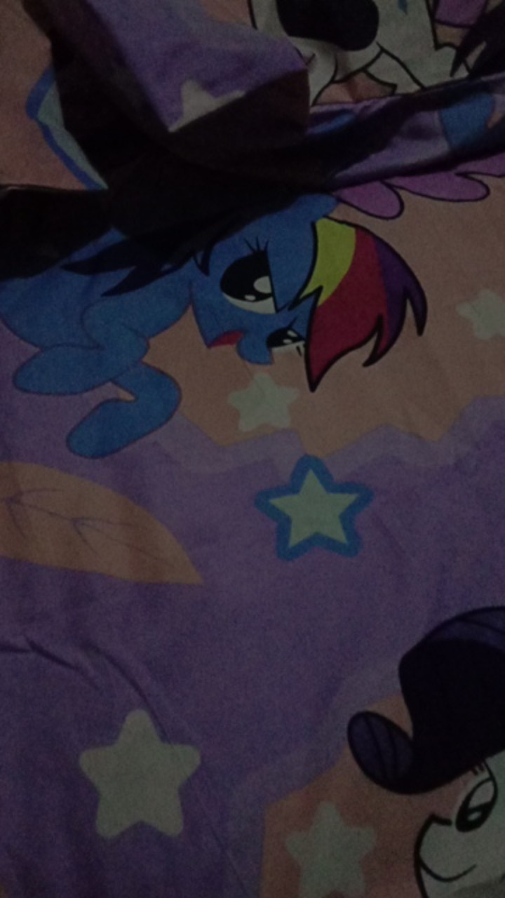 Sprei Homemade Litle Pony