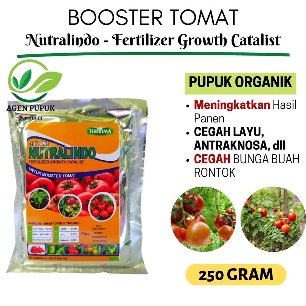 Booster Tomat Perangsang Pelebat Buah, Pupuk Tomat Organik Cepat Berbuah Lebat
