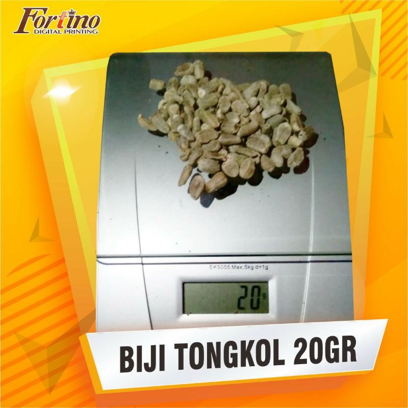 Biji Porang bunga | biji tongkol porang | benih porang | berat 20gr