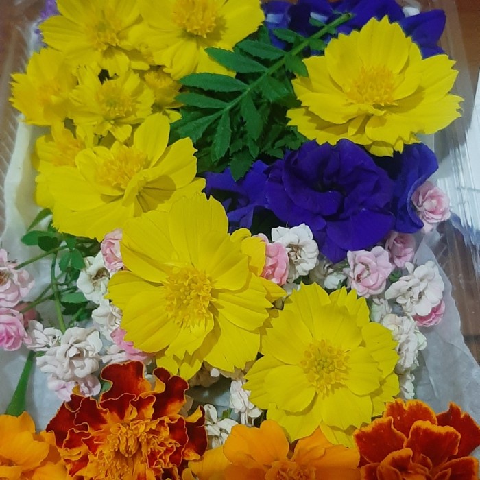 

Edible Flowers