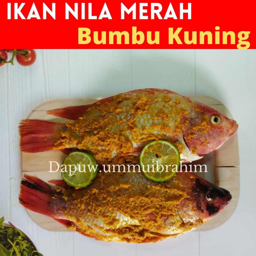 

Ikan Nila Merah Bumbu Kuning Siap Masak Goreng