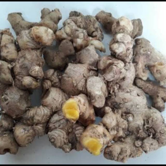 

Panglai segar 1 kg