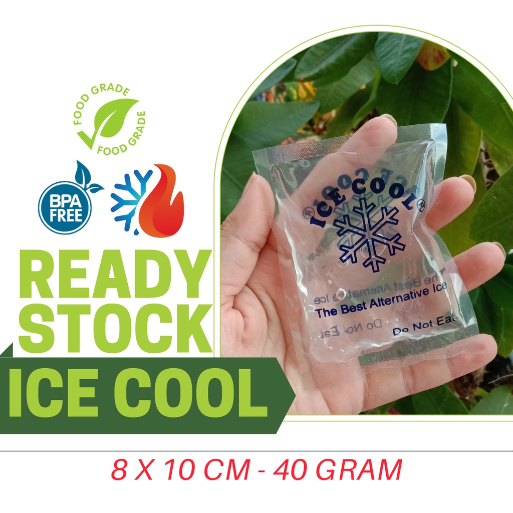 BLUE ICE BOX / PEMBEKU ES BATU / DISTRIBUTOR ES GEL / ICE COOL CREAM / ICE GEL UNTUK MAKANAN