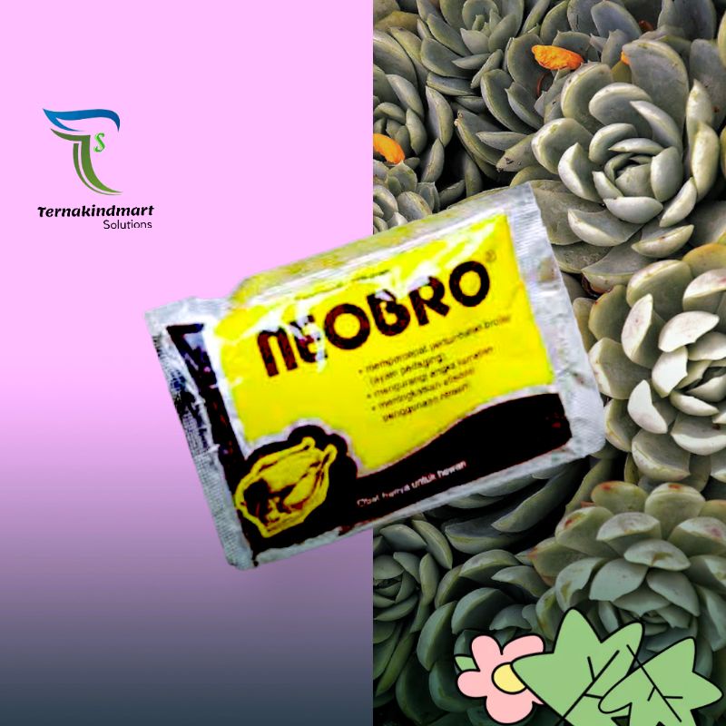 Neobro 100 gram Vitamin Bebek Ayam Broiler Pedaging