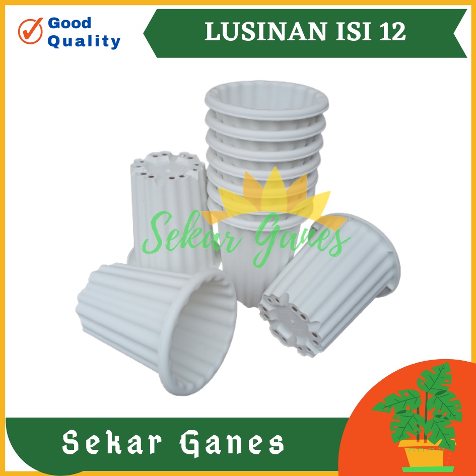 Lusinan 12pcs Pot Swiss 15 Putih Bening Transparan Hitam Merah Bata Merah Coklat Terracota Terracotta Mirip Lusinan Pot Yogap Ypt 10 13 15 Putih Coklat Merah Bata Bening Transparan Pot Yogap 17 18 19 Pot Yogap Murah Pot Bunga Tinggi Pirus Tegak Tebal