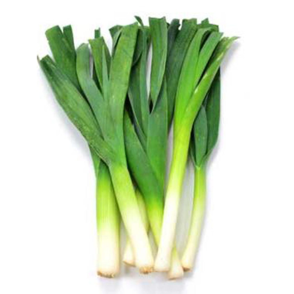 Biji Sayur Daun Bawang - Bibit Tanaman Pohon Sayur Daun Bawang - Daun Bawang - COD