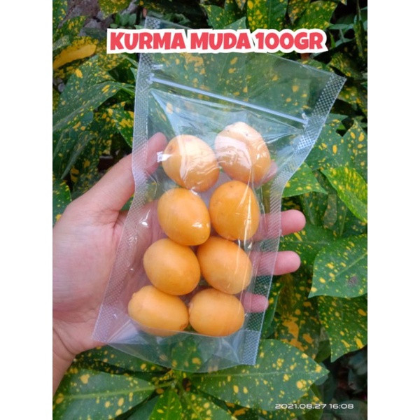 

KURMA MUDA BARHEE