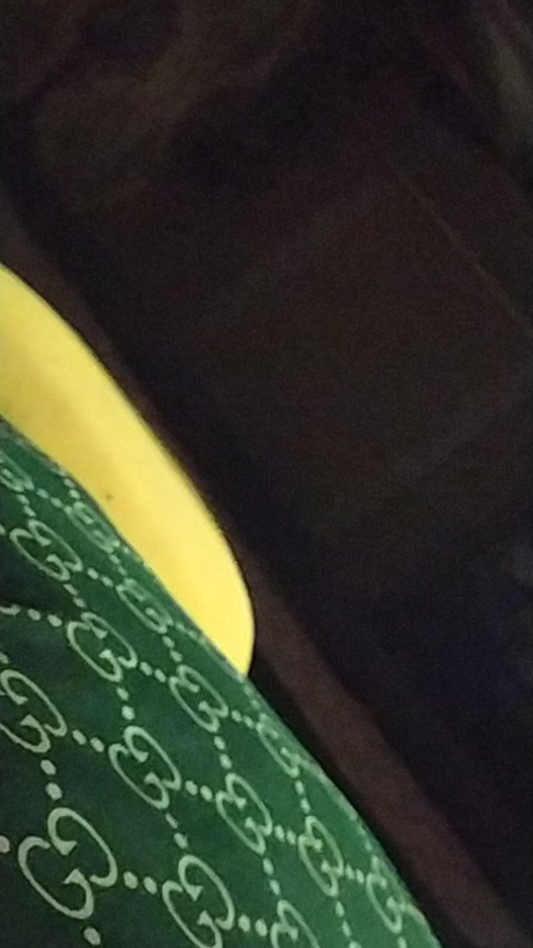 Begonia Tiger Tanaman Hias