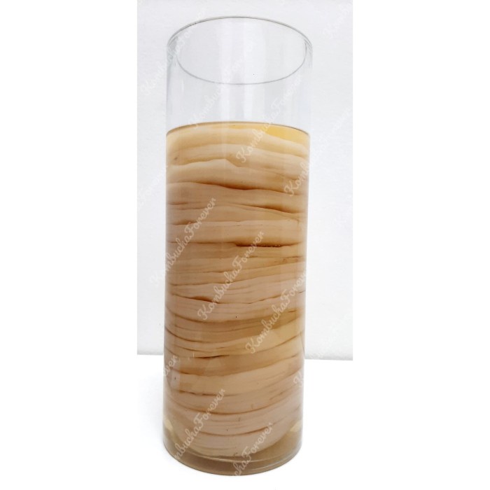 

MINUM-SIAP-DRINK-TO-READY- BIBIT SCOBY JAMUR KOMBUCHA PREMIUM ORGANIK -READY-TO-DRINK-SIAP-MINUM.