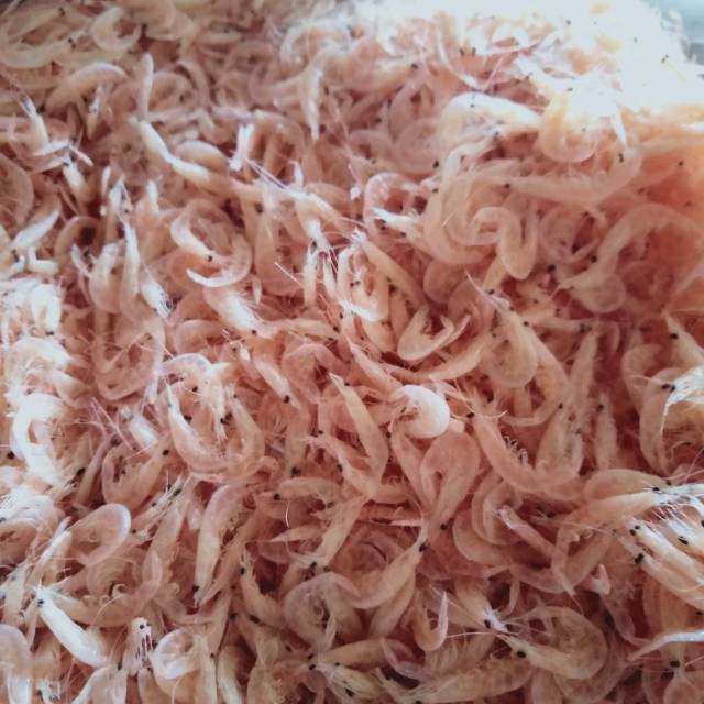 

Udang Rebon asin Khas Pandeglang.