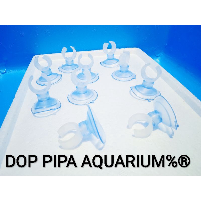 Dop Pipa Aquarium/Aquascape