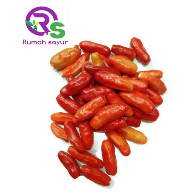 

RUMAH SAYUR CABE RAWIT MERAH 1 KG - RAWIT MERAH - RAWIT SETAN - SAMBAL RAWIT