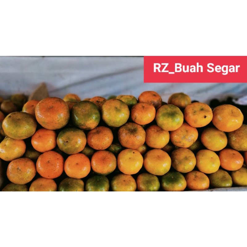 

Buah Jeruk Medan