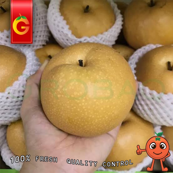 

BUAH PEAR SINGO JUMBO FRESH- 1 BUAH