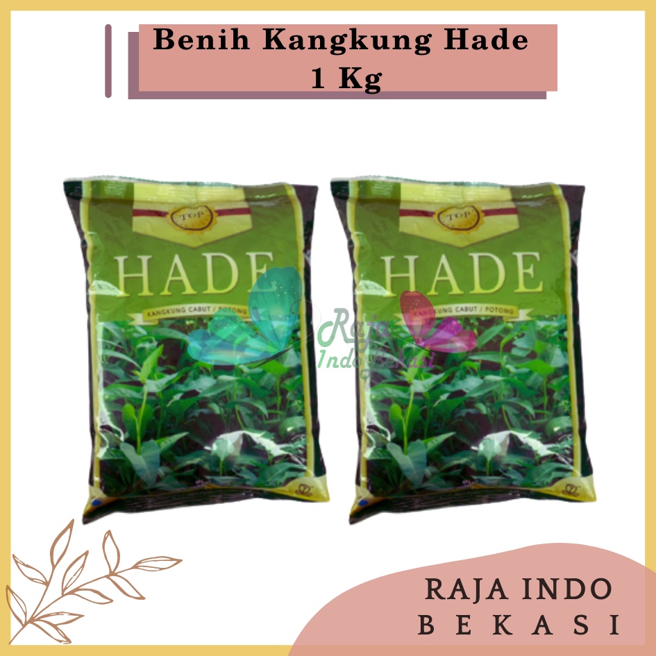 Benih Bibit Kangkung HADE 1 Kg 1000 Gram 100% ORIGINAL Benih Kangkung Bangkok Darat Hidroponik Serimpi Daun Sempit Super - Bibit kangkung &quot;HADE&quot; cabut / potong 1000gr BIBIT KANGKUNG MURAH 1KG