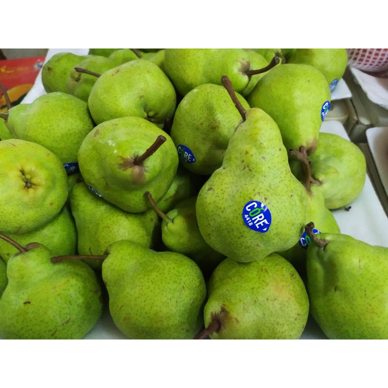 

Pear Jambu Berat 1 Kg