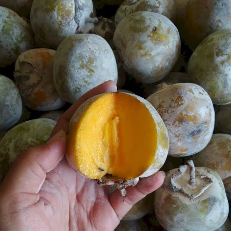 

BSM | TERMURAH Buah Kesemek Manis / Buah Kaki / Kasmak Segar per 500gr - 1kg | Sayur online