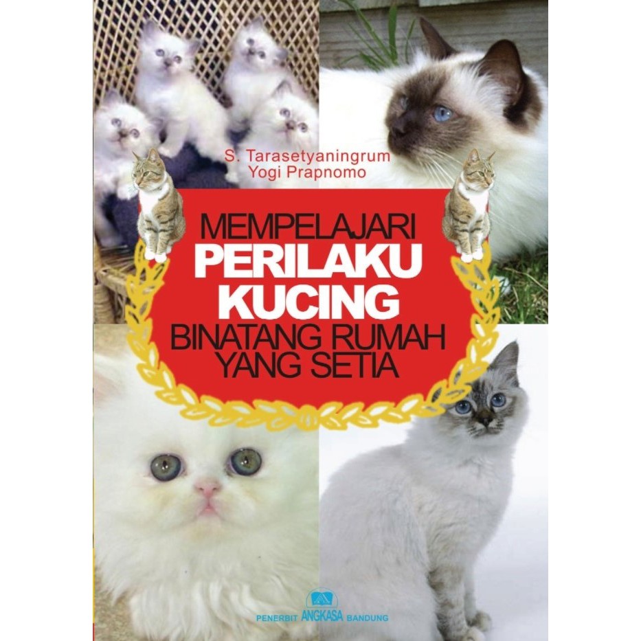 Mempelajari Perilaku Kucing, Binatang Rumah yang Setia