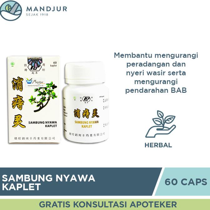 

TERBARU Sambung Nyawa Kaplet - Obat Wasir, Ambeien, BAB Berdarah /OBAT HERBAL ASAM URAT/OBAT HERBAL PELANGSING/OBAT HERBAL KOLESTEROL/OBAT HERBAL DIABETES