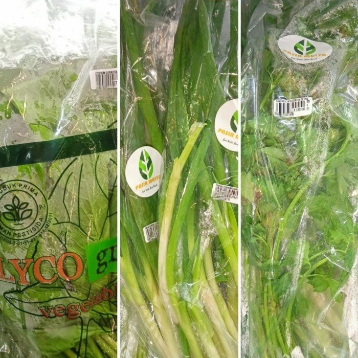 

Sosin / Bawang Daun / Seledri ORGANIK (HANYA pengiriman GOSEND/GRAB)