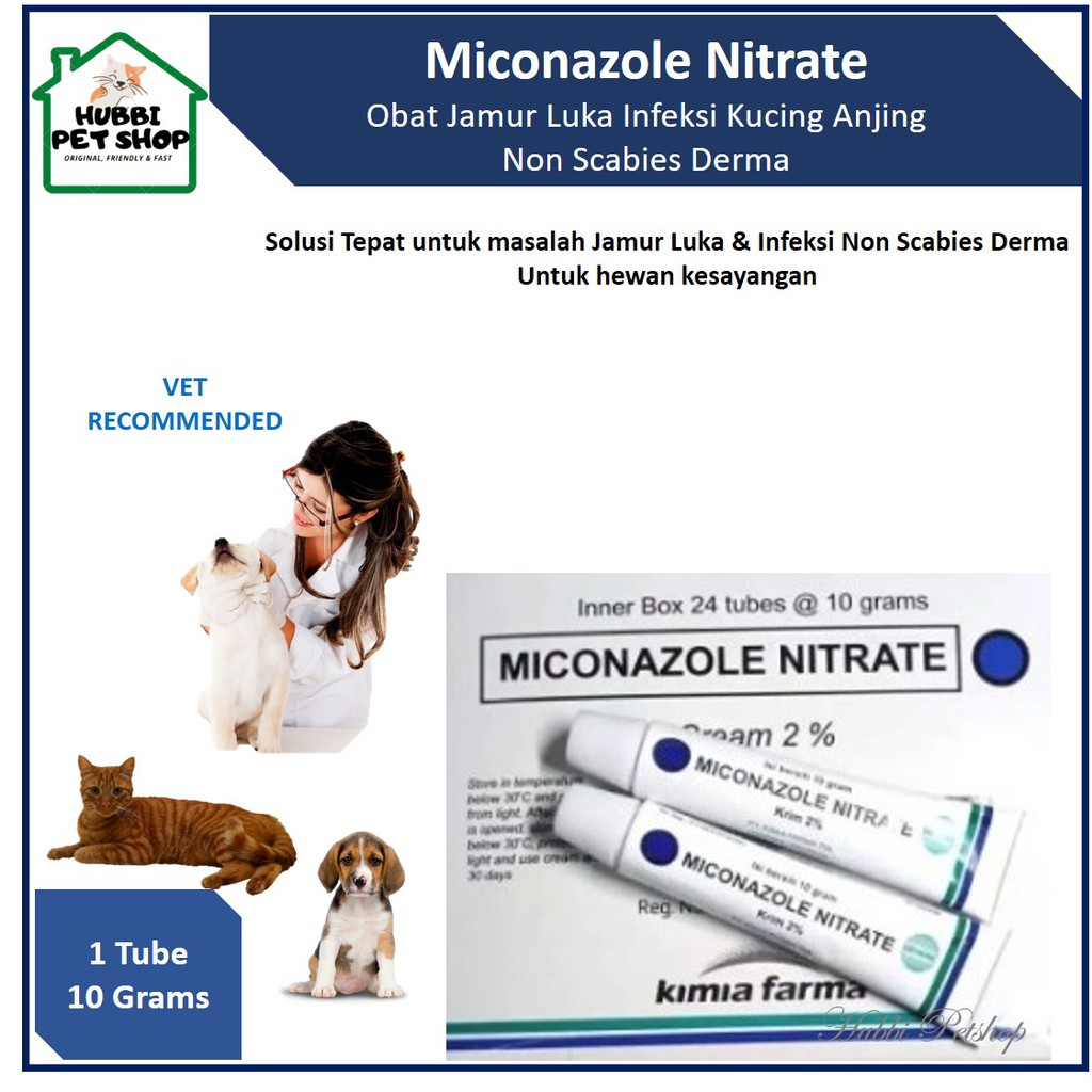 OBAT SALEP MICONAZOLE NITRATE CREAM 10gr | Salep Jamur Kucing | Cream Jamur Kulit | Salep Luka Jamur Kucing anjing