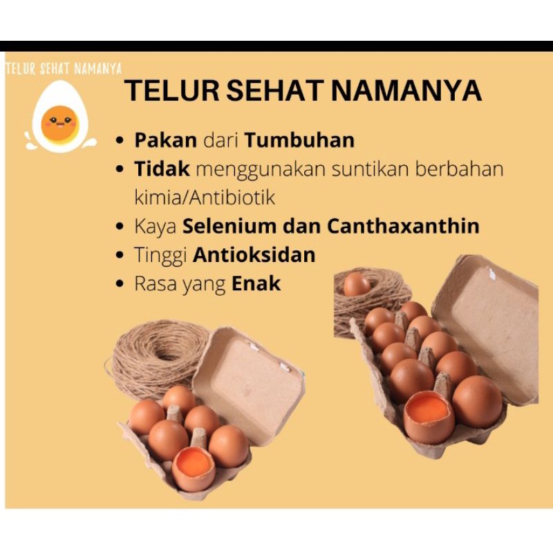 

Telur Sehat Namanya