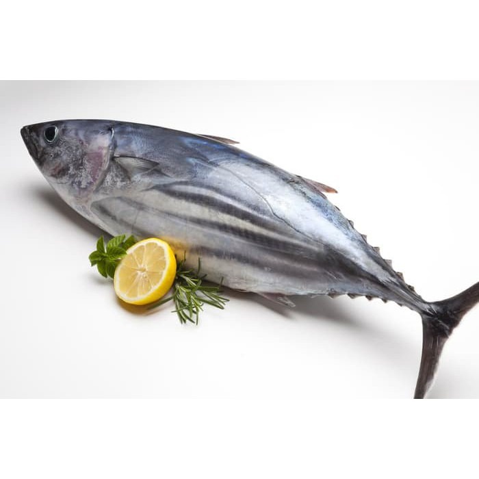 

Ikan Tuna (500 gr)