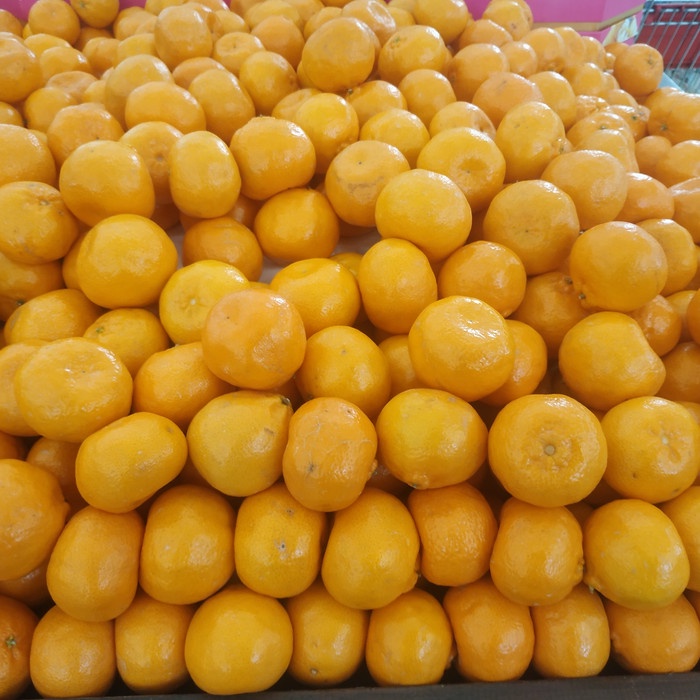 

Jeruk Imperial 1 Kg